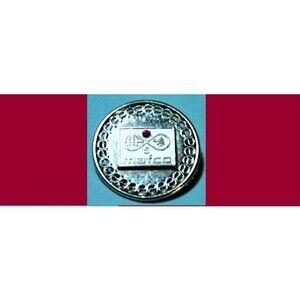 Mafco Worldwide Corporation -5 Year Sterling Lapel Pin/Brooch